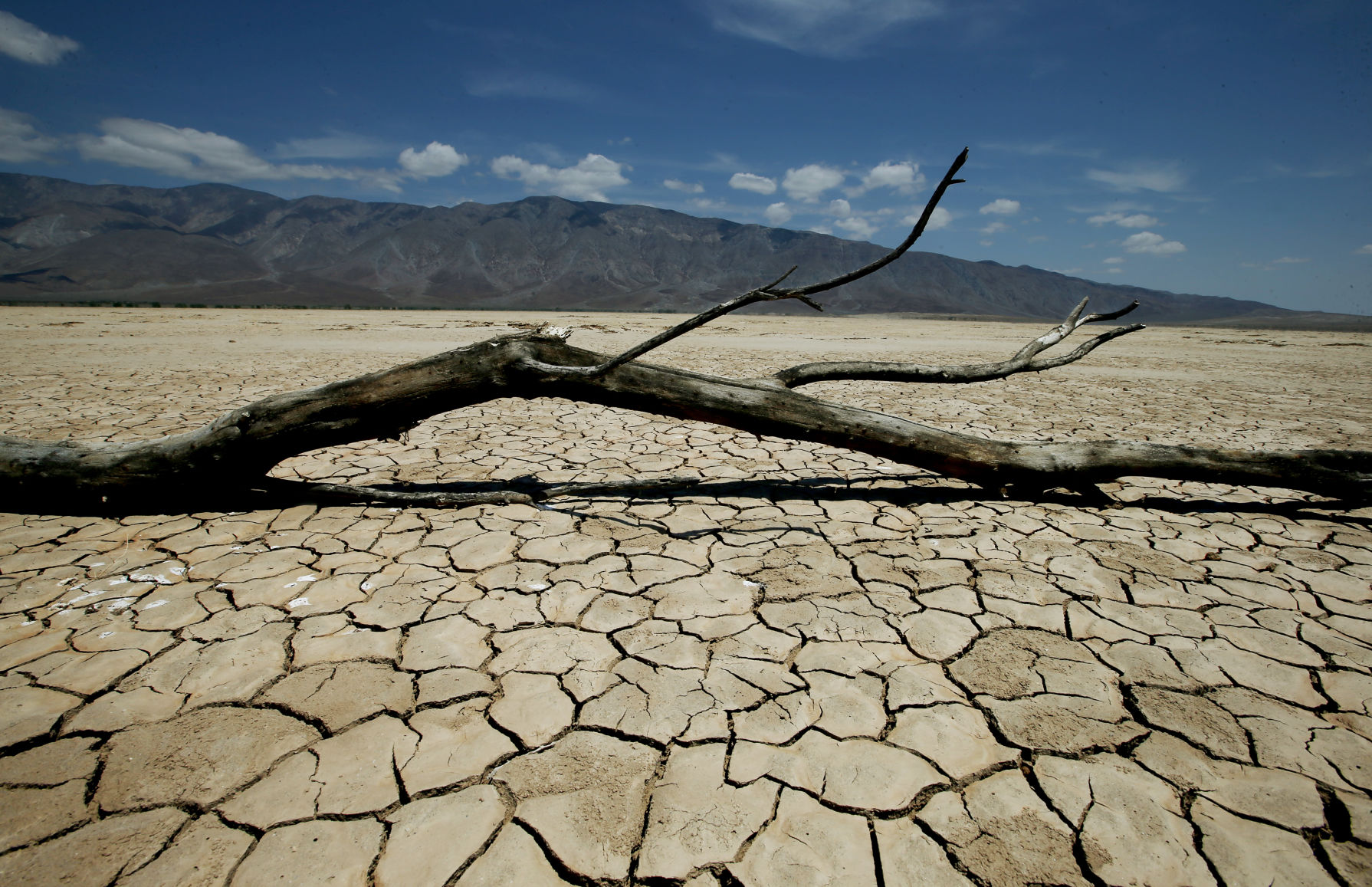 Climate lawsuit may finally go to trial